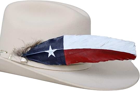 Amazon.com: Painted Texas Flag Hat Feather – Handmade Turkey